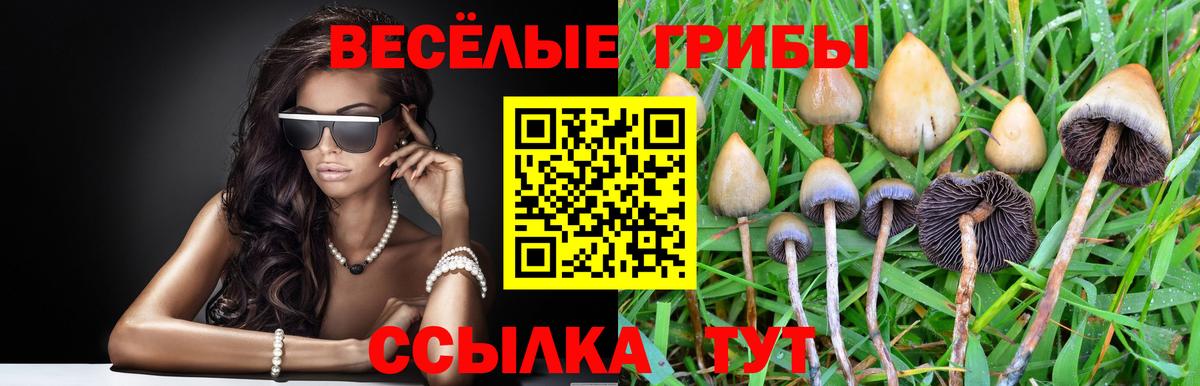 Галлюциногенные грибы ЛСД  даркнет сайт  Отрадный  Вход с VPN 