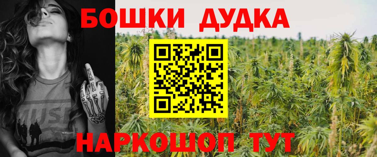 Бошки марихуана сатива  Бошки Шишки Bruce Banner  Марихуана планчик  Отрадный  Вход с VPN 